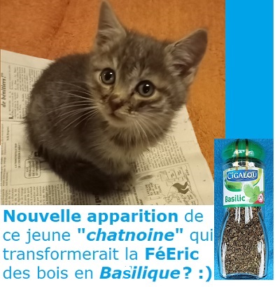 MIRACLE A PELLEVOISIN ?