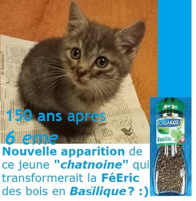 MIRACLE A PELLEVOISIN ?